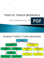 TRAKTUS TRAKEA BRONKIALIS
