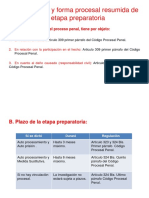 Objeto, Plazo y Forma Procesal Resumida de