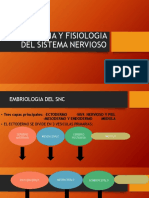 Anatomia y Fisiologia Del Sistema Nervioso