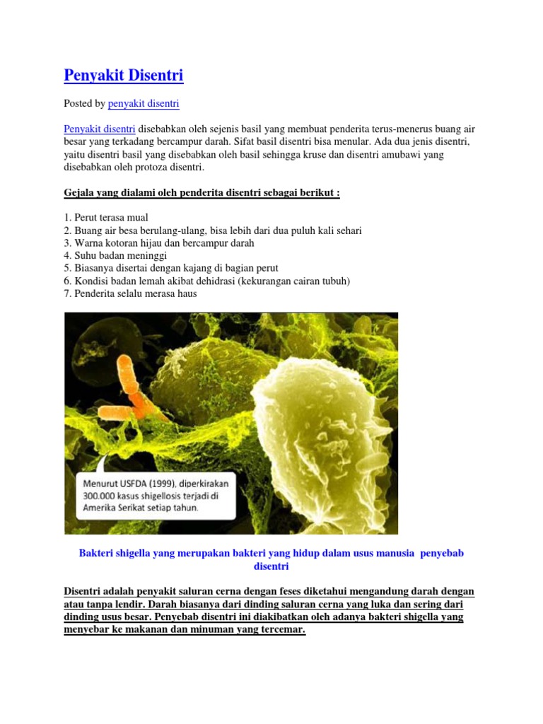 Penyebab Penyakit Disentri Adalah Infeksi Bakteri - Berbagai Sebab