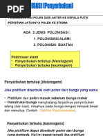 Download pertum 5 by aroemy SN38538534 doc pdf