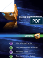Internal Control Basics