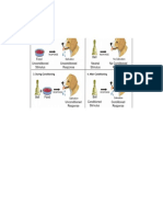 Tarea 3 Analisis de La Conducta