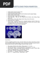 Download Proses Fertilisasi Pada Manusia by jagong_haneut SN38539006 doc pdf