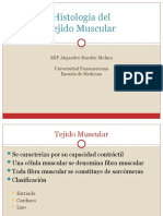 Histología del Tejido Muscular