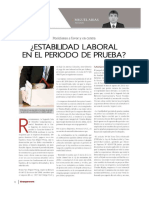 Estabilidad Laboral en Etapa de Prueba_Nov2015-3.pdf