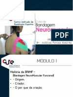 CursoBandagemOnLine.pdf