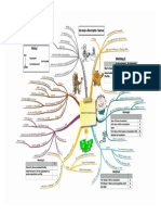 Mind Map 19 - Group SFP Workings PDF