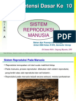 Presentasi Sistem Reproduksi Manusia