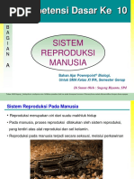 Presentasi Sistem Reproduksi Manusia