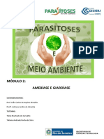 Parasitose e o meio ambiente 