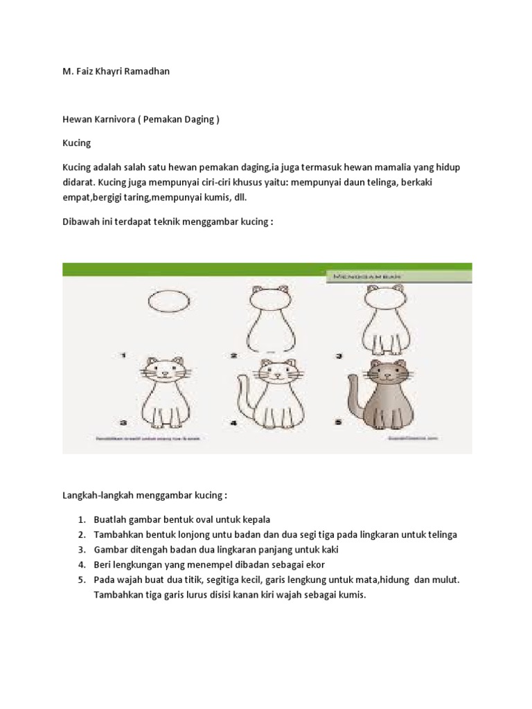 8700 Koleksi Sketsa Gambar Hewan Pemakan Daging Terbaik