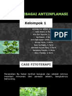 Seledri Sebagai Antiinflamasi