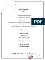 Credit Risk Management PDF