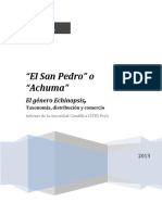 El San Pedro.pdf
