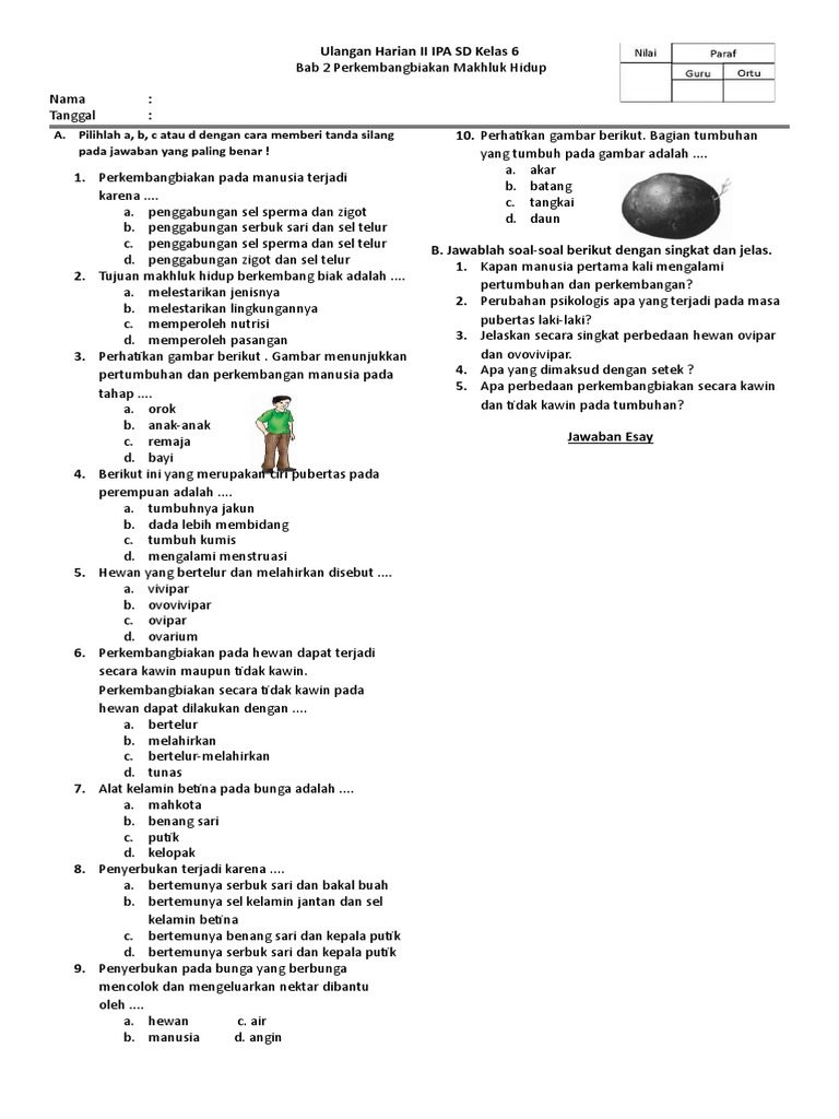 Alat Peraga Ipa Kelas 6 Semester 1 Berbagai Alat