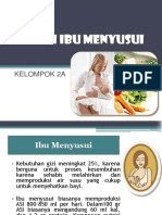 Nutrisi Ibu Menyusui