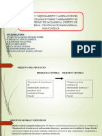 Presentación1 Proyectos