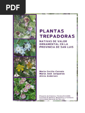 Plantas Trepadoras Botanica Horticultura Y Jardineria