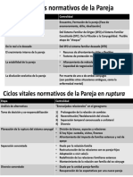 Ciclo Vital de La Pareja