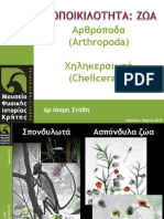 Αρθρόποδα (Arthropoda) Χηληκεραιωτά (Chelicerata) Δρ Ιάσμη Στάθη. ΕΡΓΑΣΤΗΡΙΑ ΣΤΟ ΜΟΥΣΕΙΟ_ Τα Ζώα Στο Φακό Του Στερεοσκοπίου