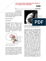 Buccal+fat+pad+flap-1.pdf