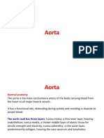 Aorta