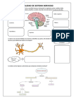 Sistema Nervioso