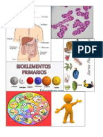 Biología.docx