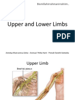 Upper and Lower Limbs Revised