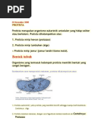 Protista