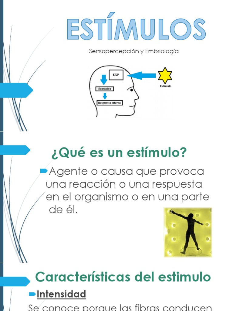 Definición y Clasificación de Estímulos | PDF | Estímulo (fisiología ...
