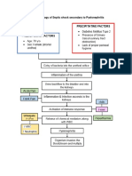 Pathophysiology of Septic Shock Secondary To Pyelonephritis