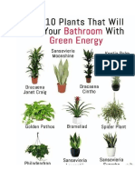 10 Plants Good to Our Society