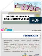 Transpor Membran