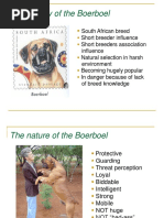 Animalogy Dogs and Other Canids | PDF | Bichon | Dogs