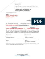 Formatos Notificaciones