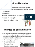 Pesticidas Naturales