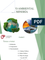 TEMA I (2).pdf