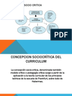 Concepcion Socio Critica