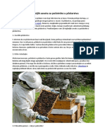 10 Najboljih Saveta Za Početnike U Pčelarstvu
