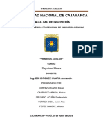 Seguridad Primeros Auxilios - II