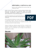 Plantas Medicinales y Cual Es Su Uso