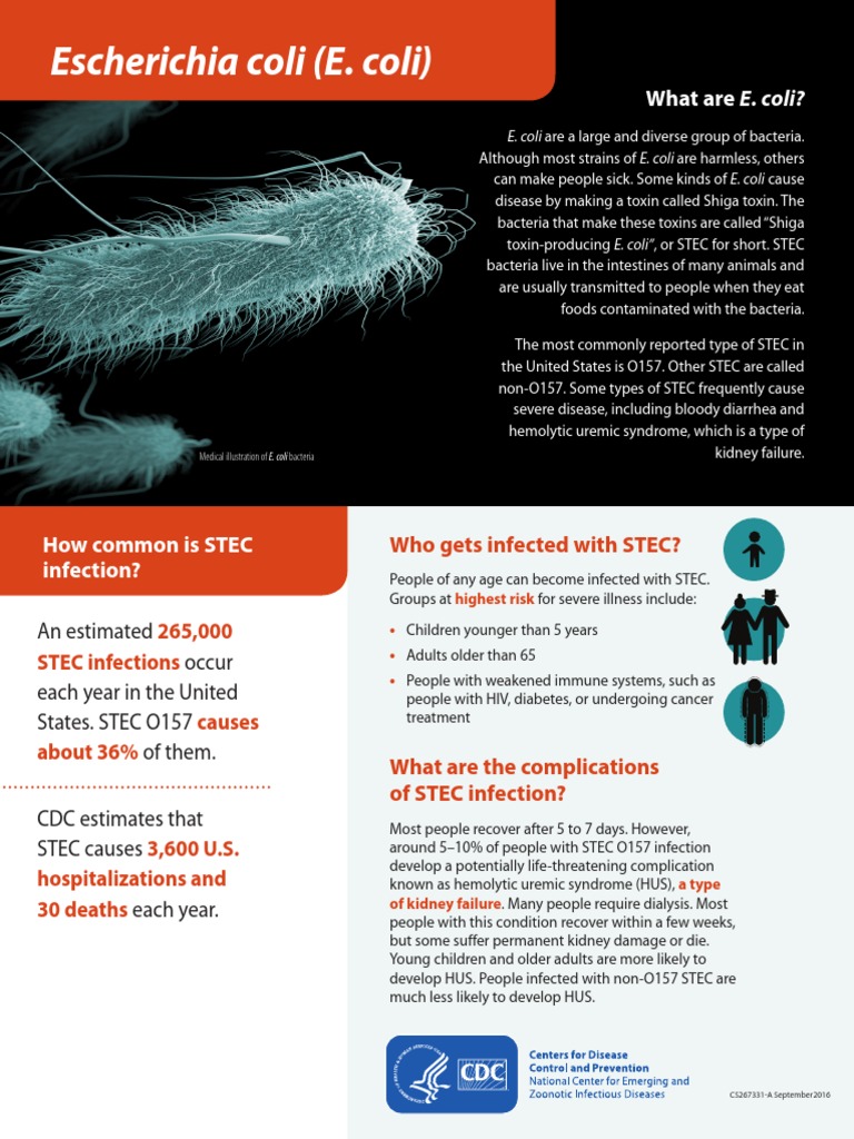 CDC E. Coli Factsheet Escherichia Coli Medical Specialties