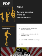 agile-170915124721