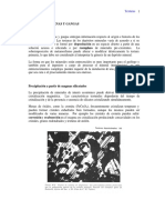 TEXTURAS DE MENAS Y GANGAS.pdf