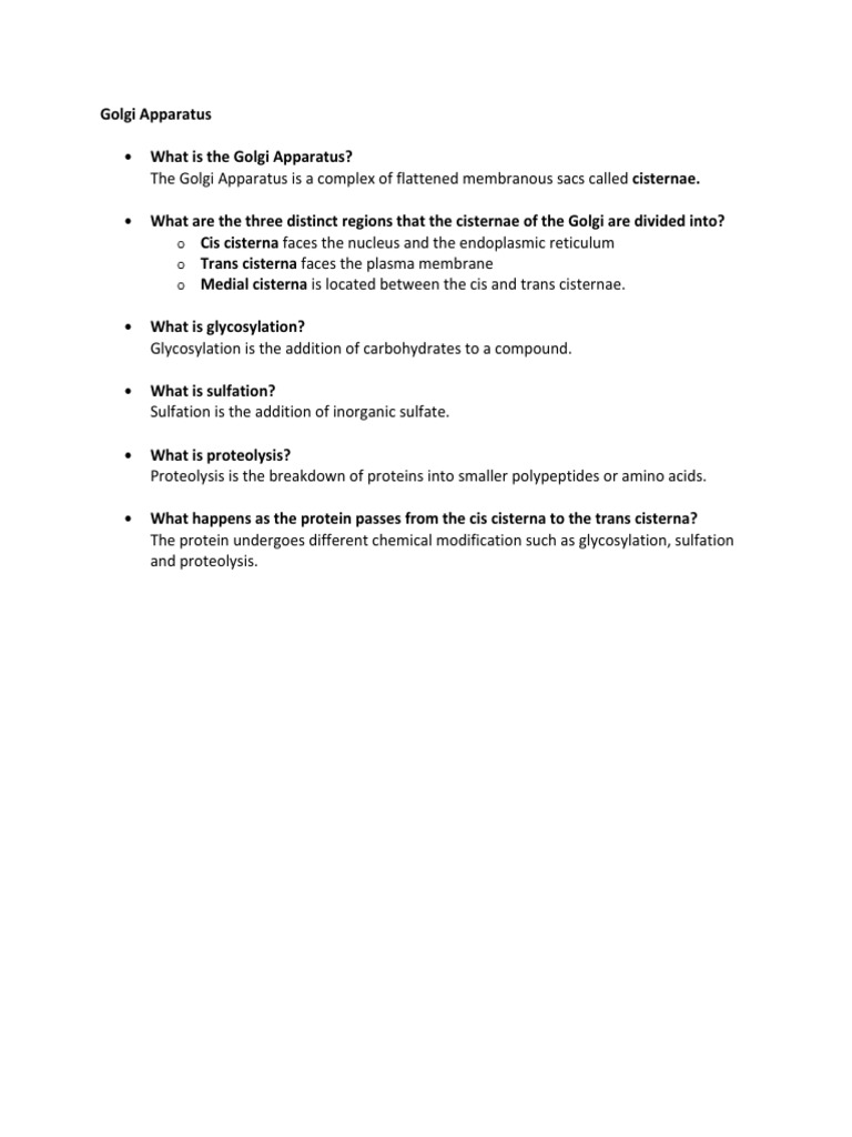 Understanding the Golgi Apparatus Functions | PDF
