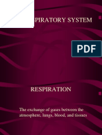 Respiratory System Anatomy & Physiology