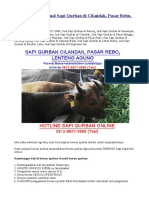 0812-9627-2689 - Jual Sapi Qurban Di Cilandak, Pasar Rebo, Lenteng Agung