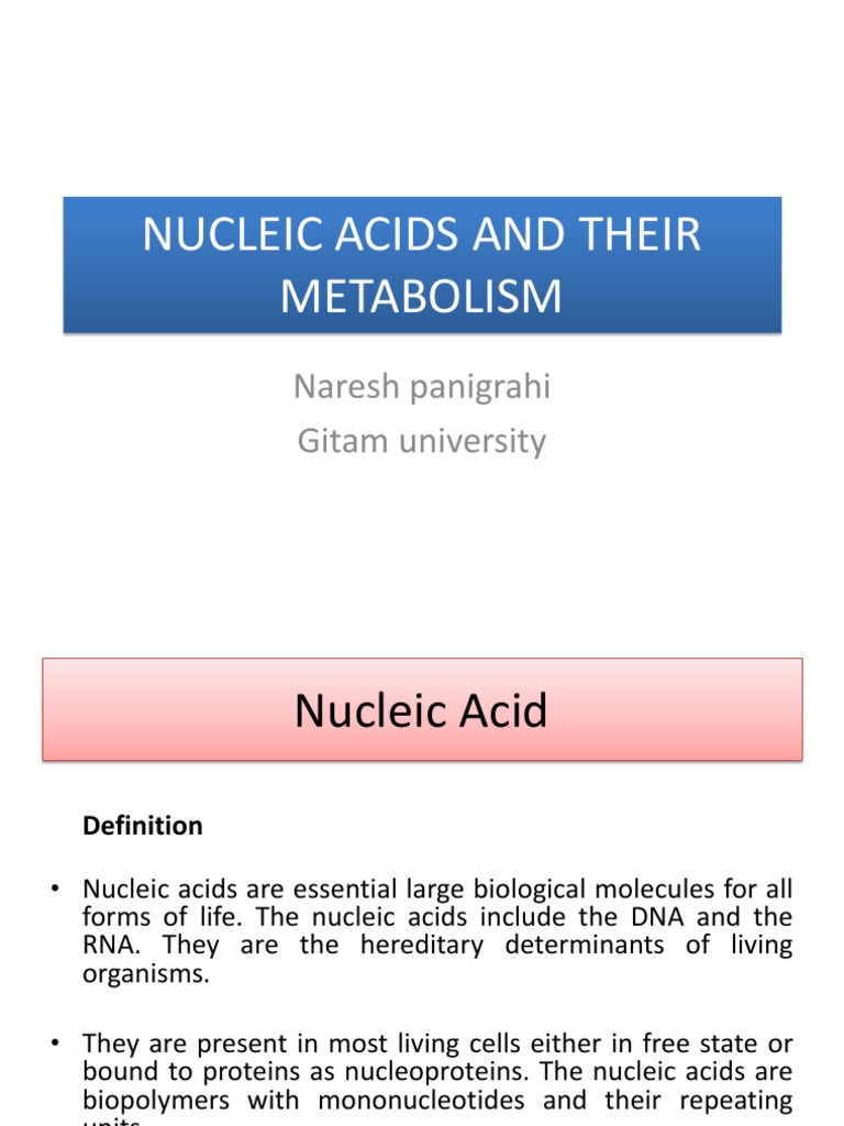 Nucleic Acids and Their Metabolism | PDF | Nucleic Acids | Nucleotides